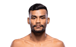 Raulian Paiva