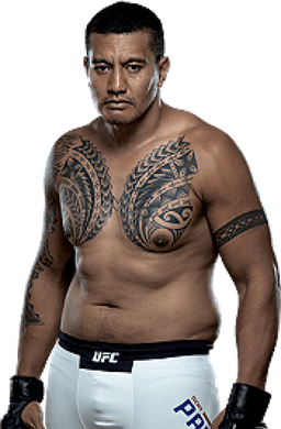 Soa Palelei