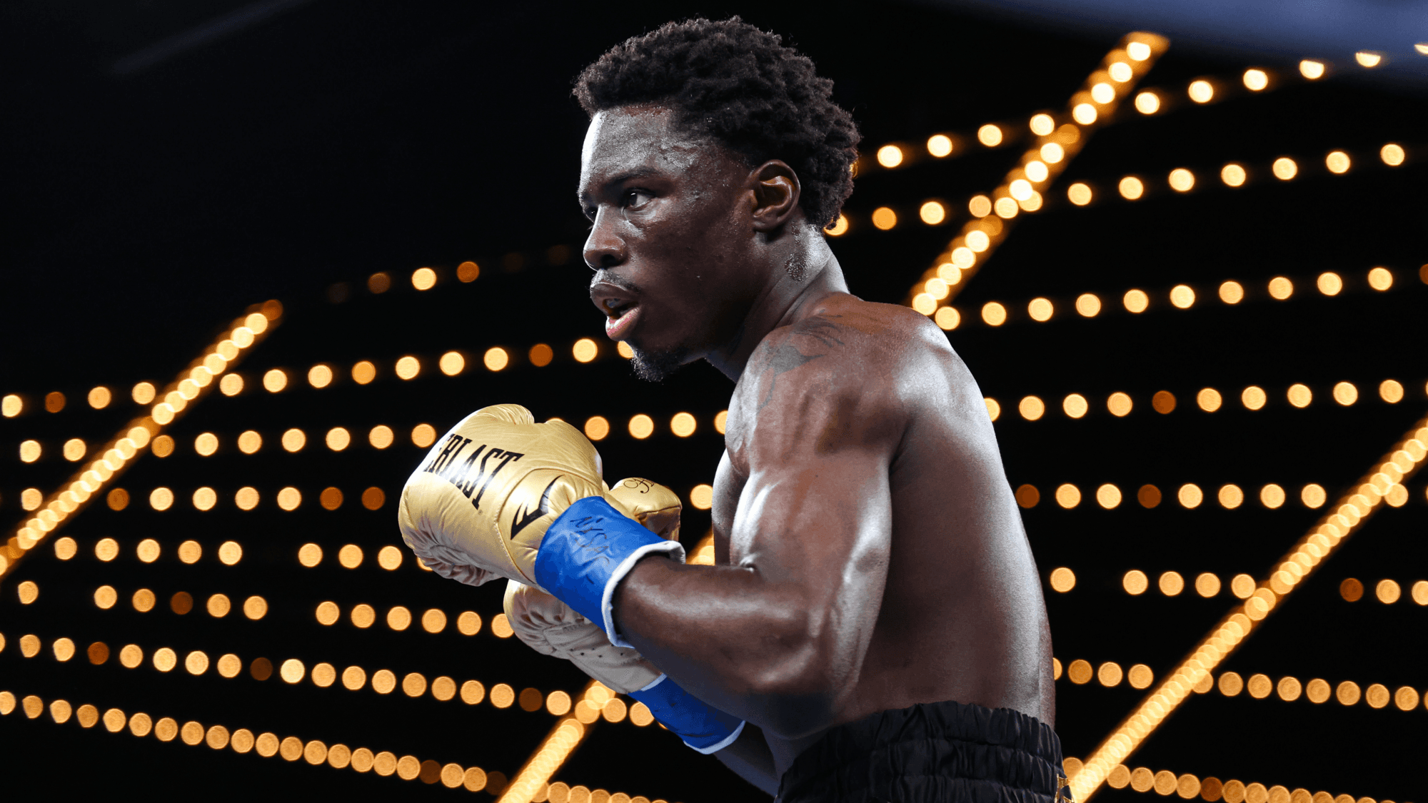 Hitchins Blames 'Higher Ups' for Dodging Norman Fight