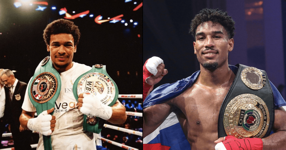 Mathieu Edges Shishkin by Split Decision in Co-Feature