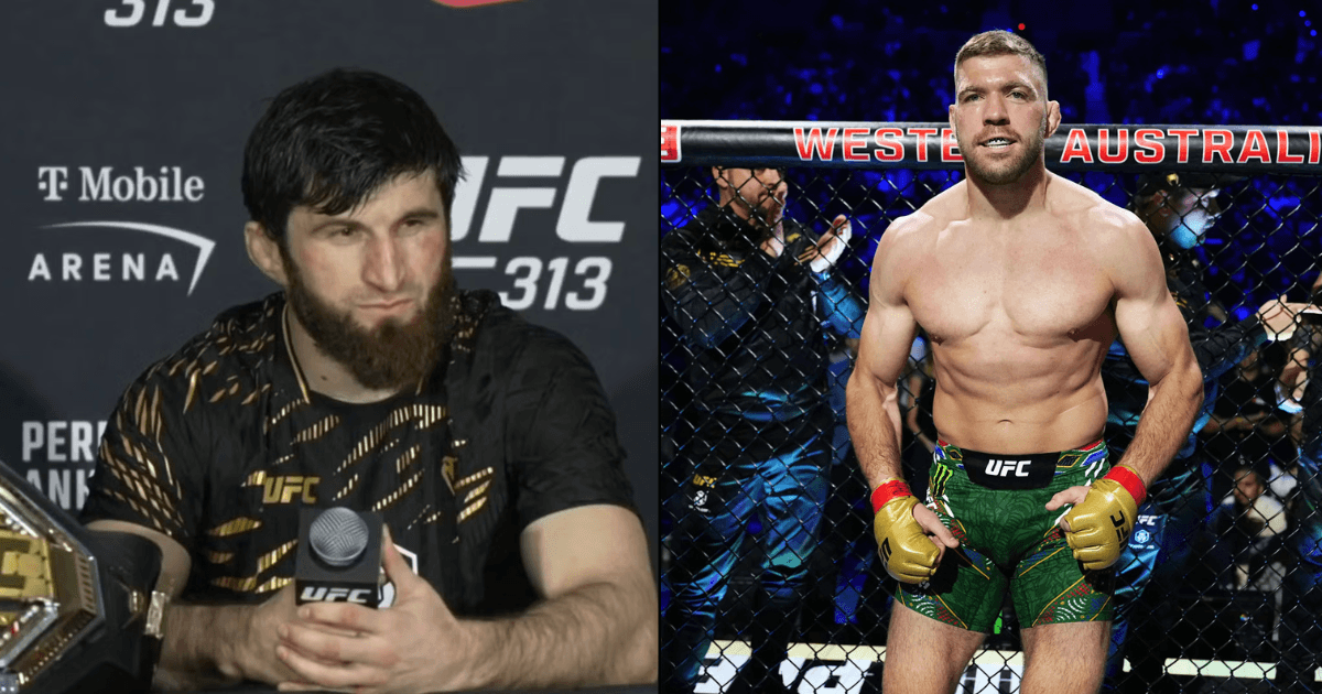 Magomed Ankalaev Says Du Plessis Fight Is Possible at 205