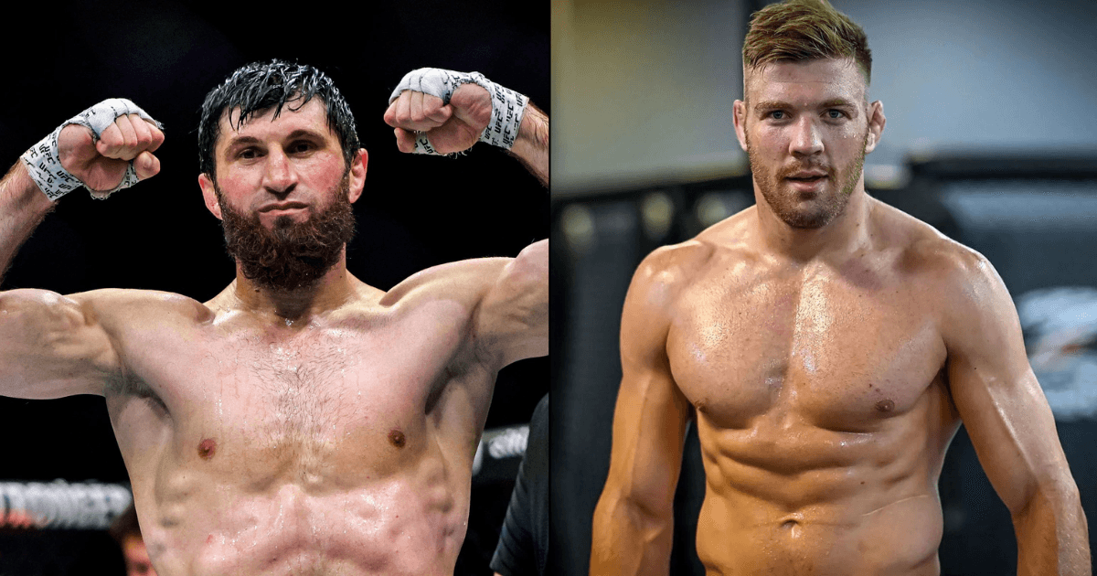 Ankalaev Reveals UFC Floated Du Plessis as Next Opponent