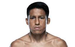 Enrique Barzola